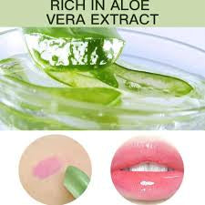 Aloe Vera Magic Lip Oil